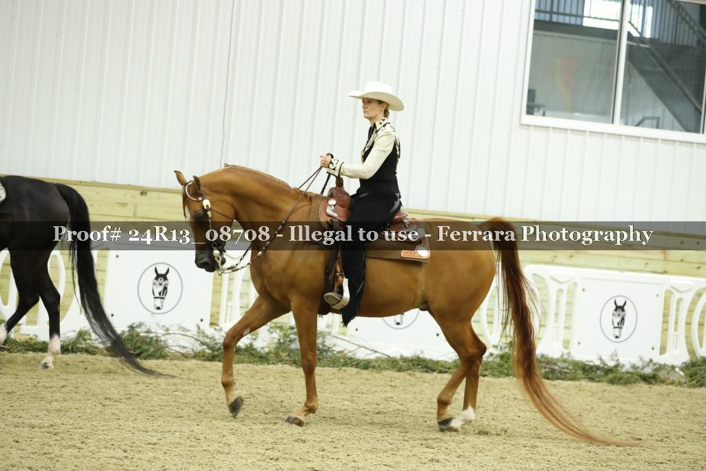 Proof 24R13_08708