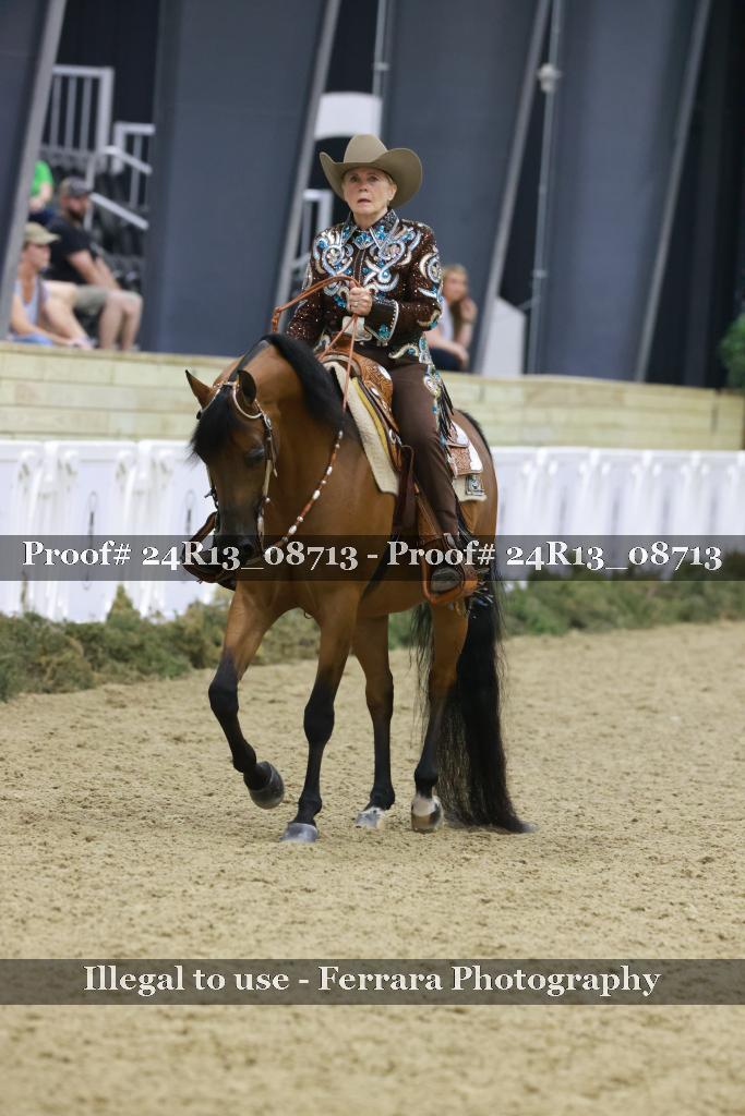 Proof 24R13_08713