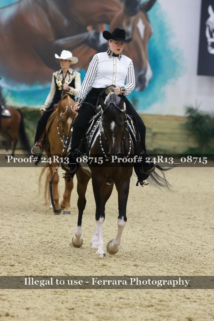 Proof 24R13_08715