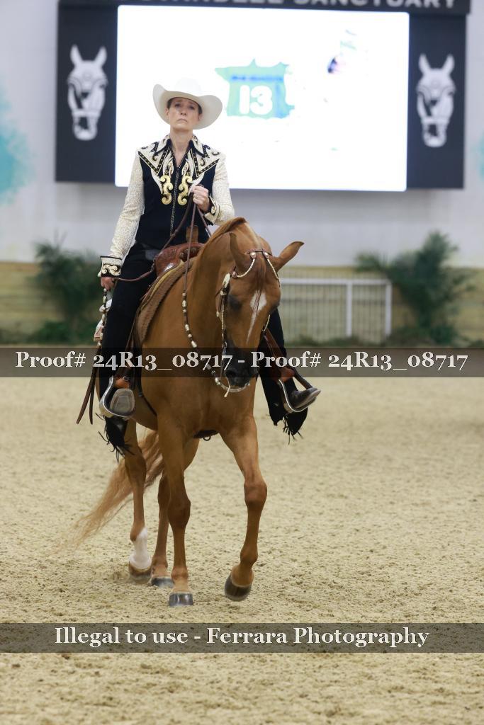 Proof 24R13_08717