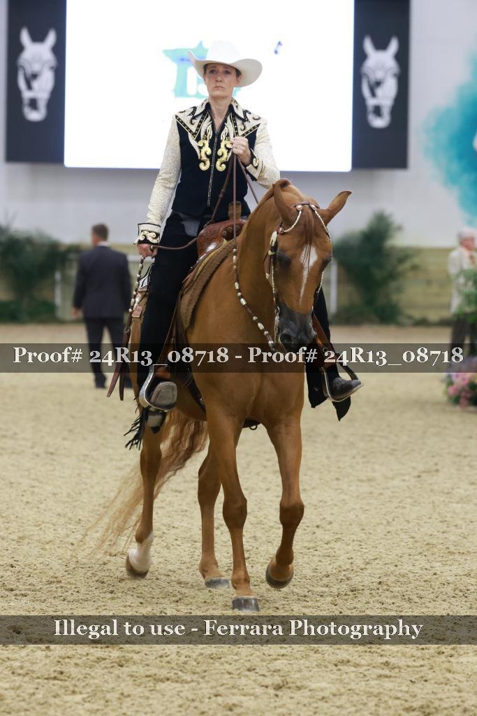 Proof 24R13_08718