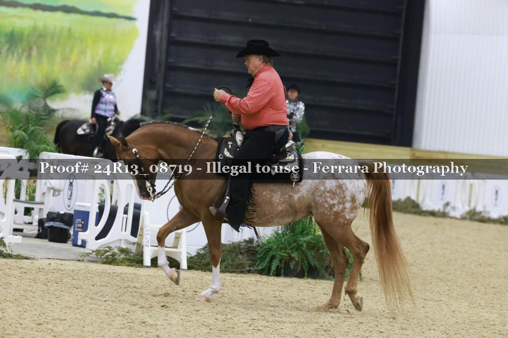 Proof 24R13_08719