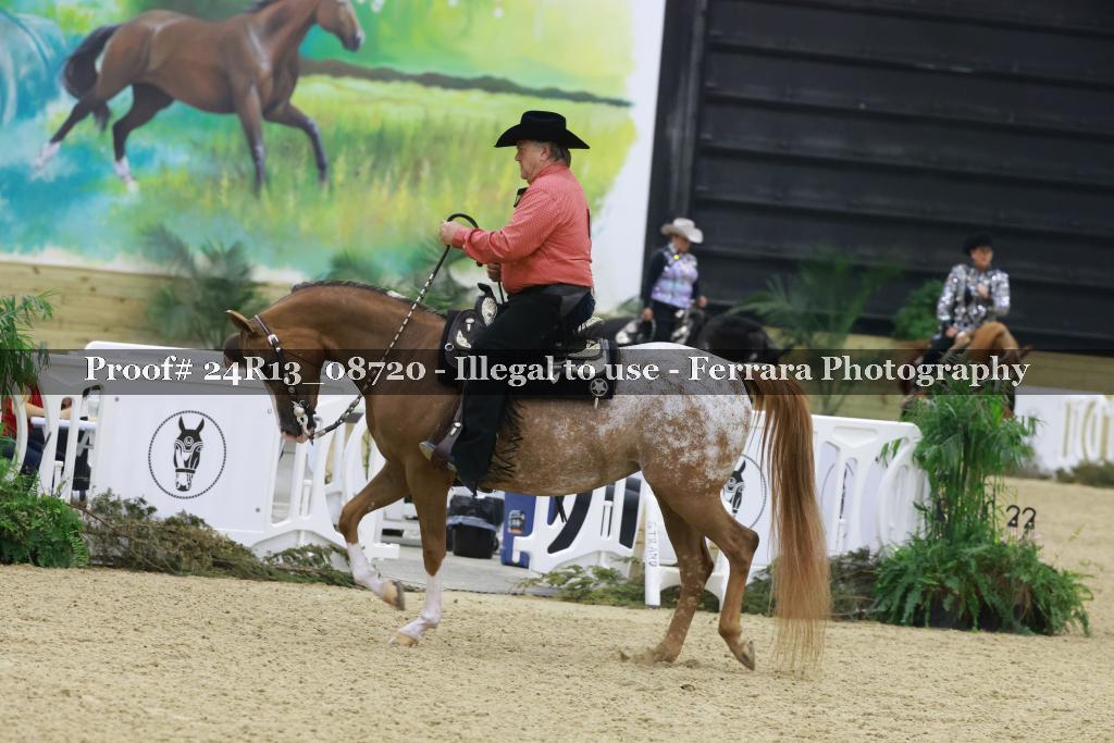 Proof 24R13_08720