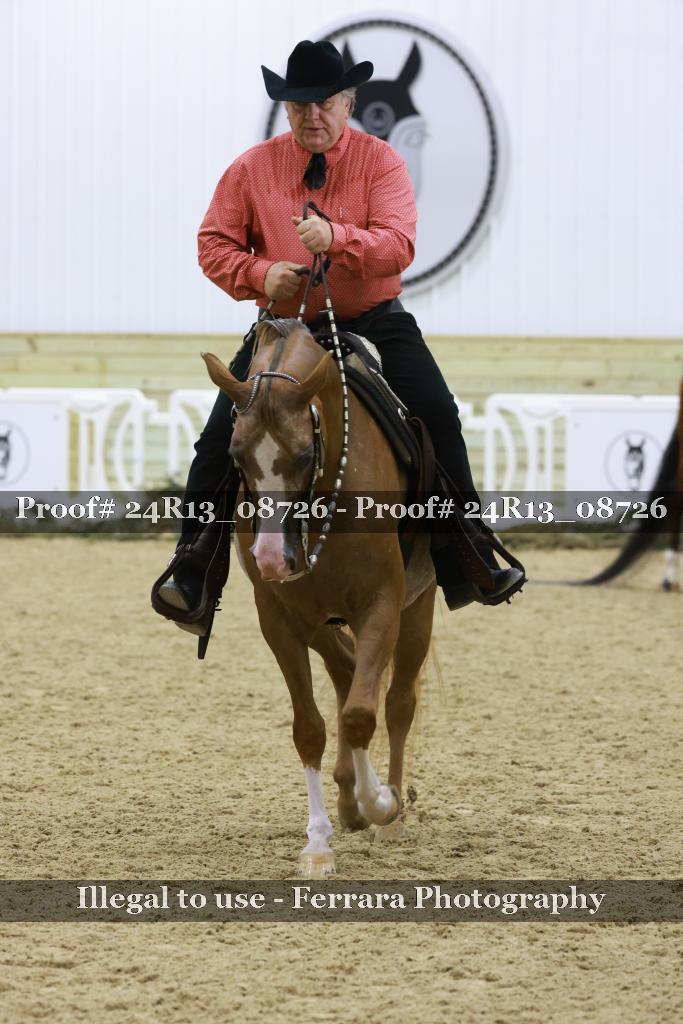 Proof 24R13_08726