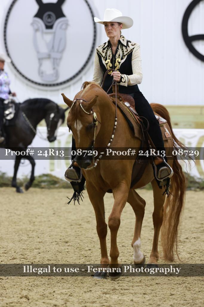 Proof 24R13_08729