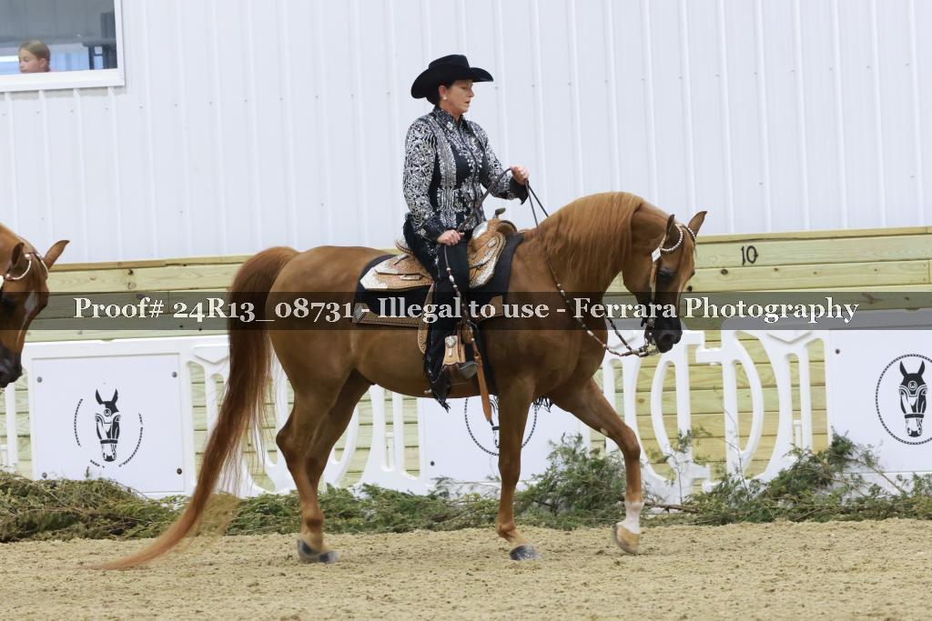 Proof 24R13_08731