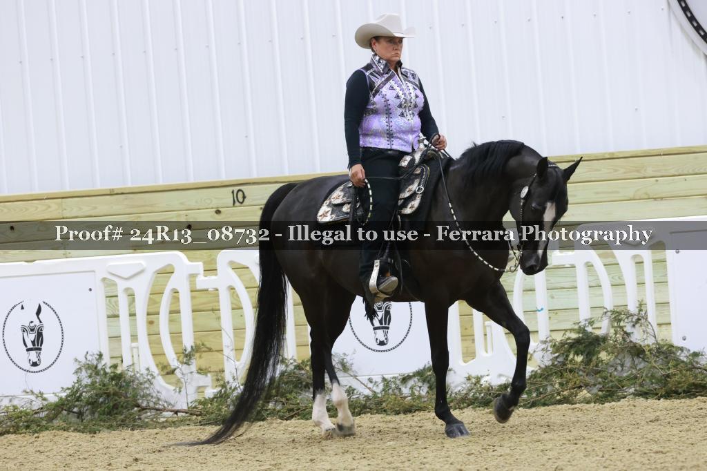 Proof 24R13_08732