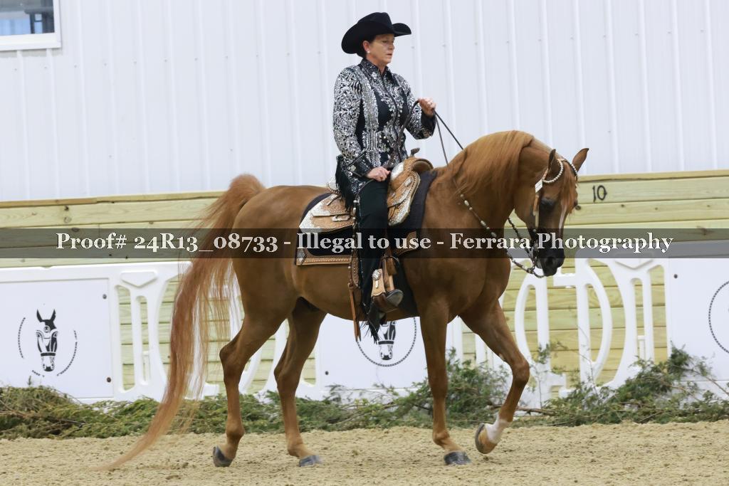 Proof 24R13_08733