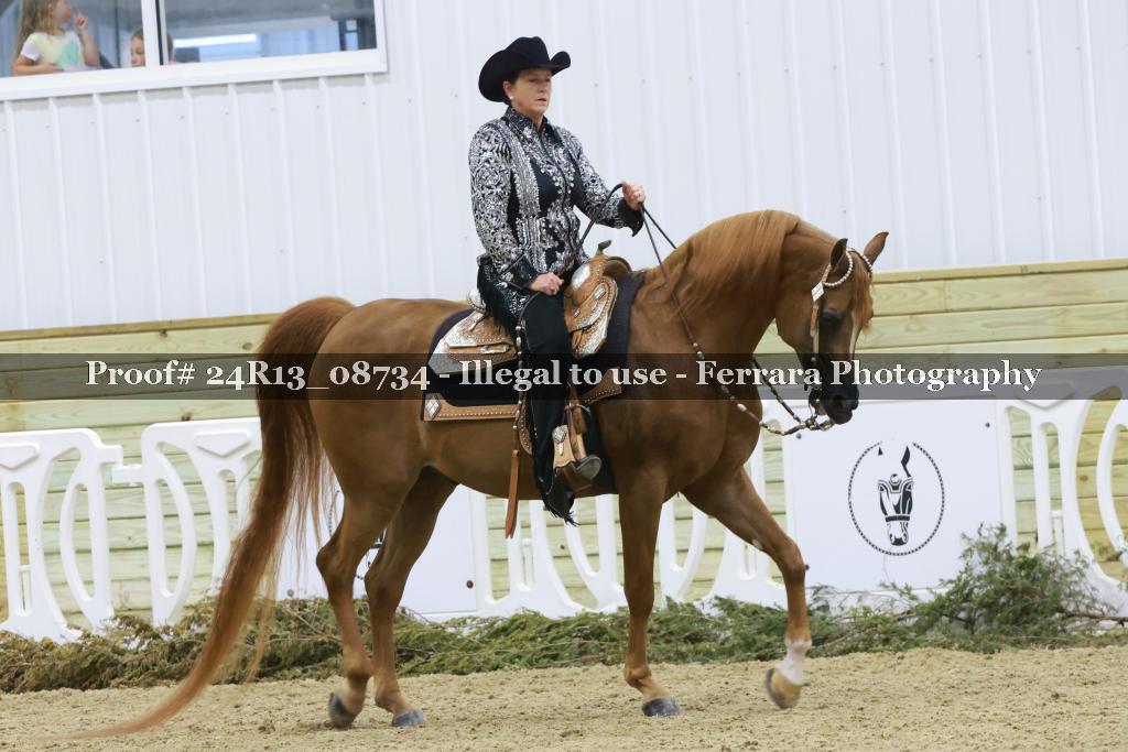 Proof 24R13_08734