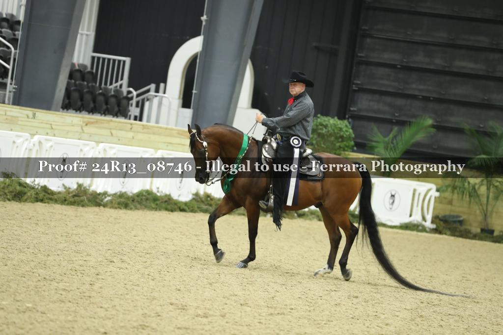 Proof 24R13_08746