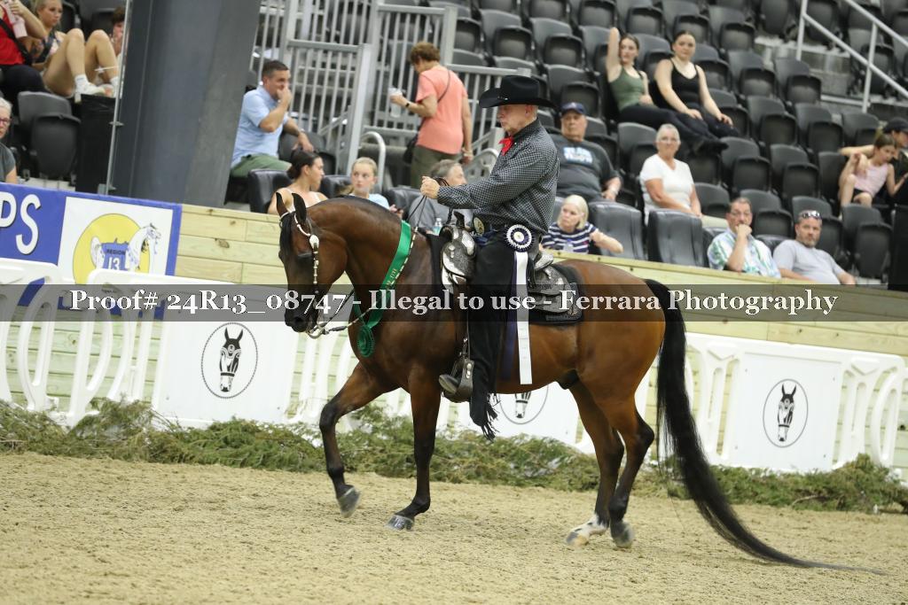 Proof 24R13_08747