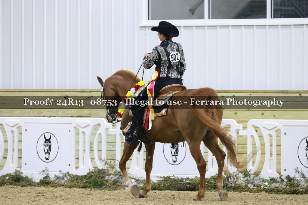 Proof 24R13_08753