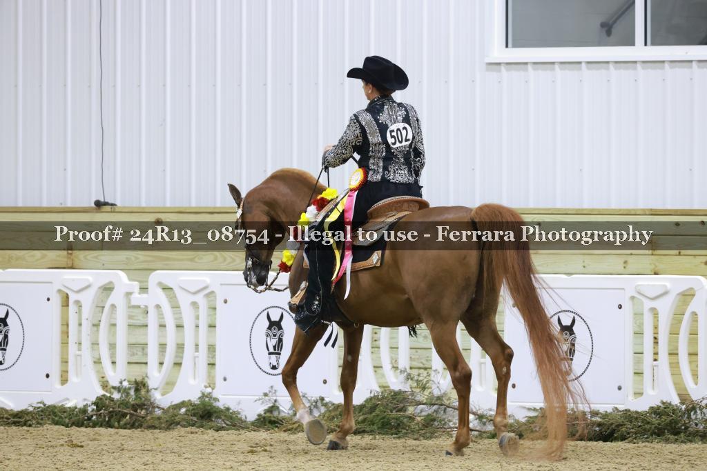Proof 24R13_08754
