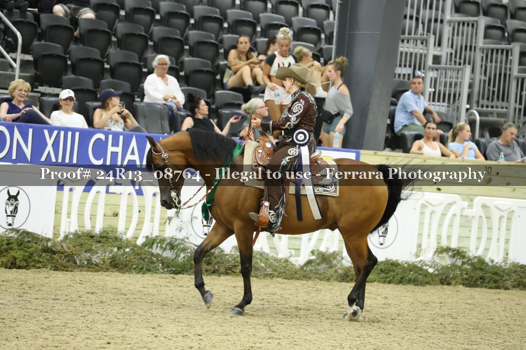 Proof 24R13_08764