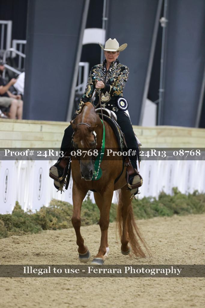 Proof 24R13_08768
