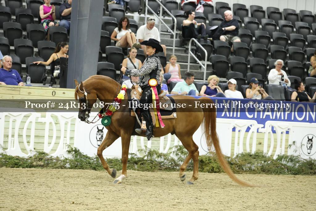 Proof 24R13_08775