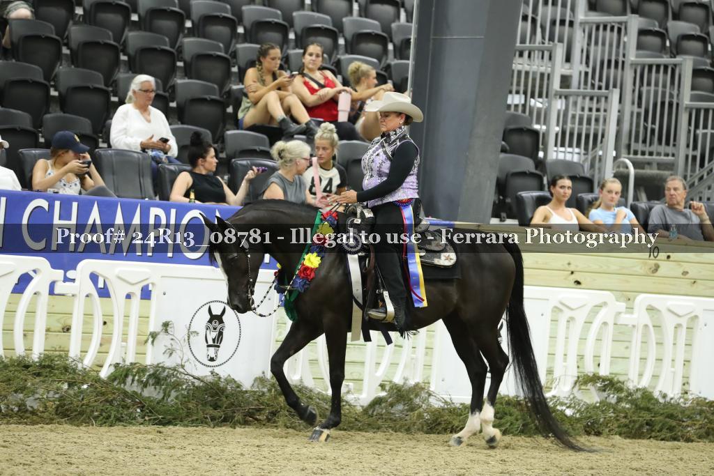 Proof 24R13_08781
