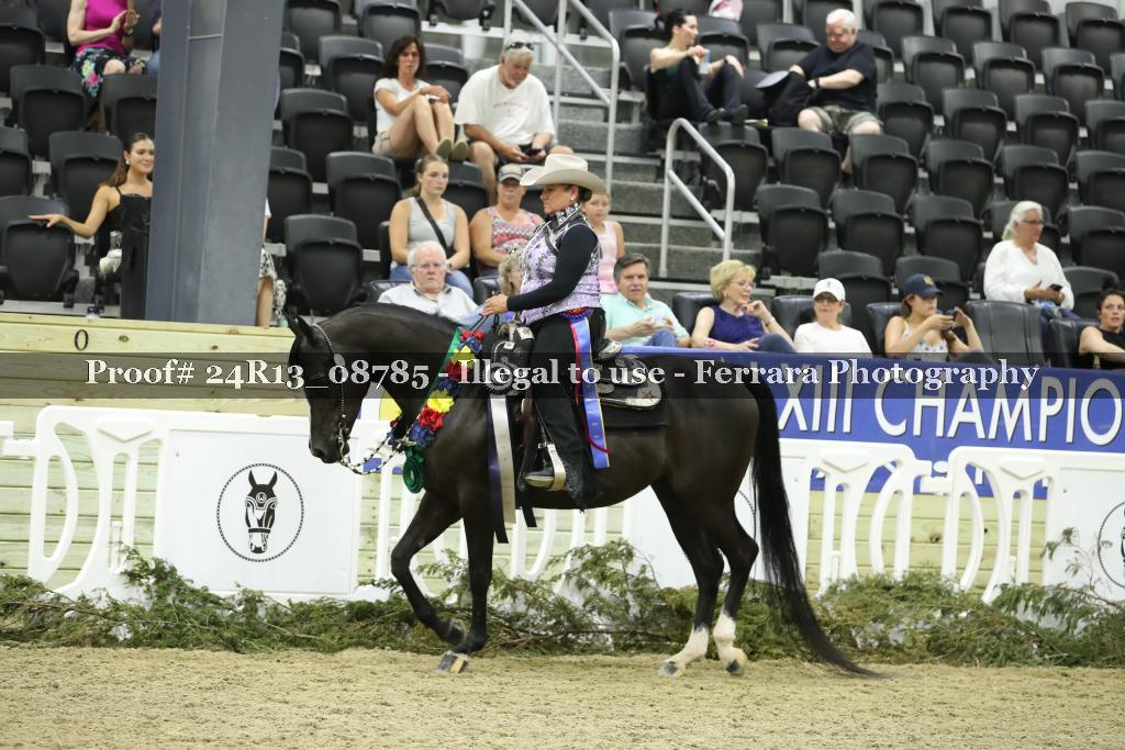 Proof 24R13_08785