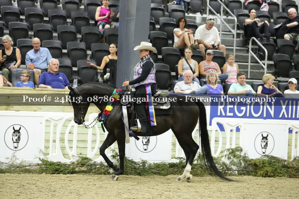 Proof 24R13_08786