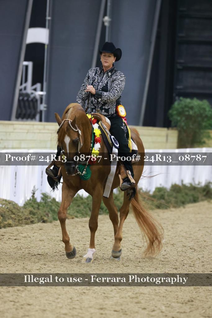 Proof 24R13_08787