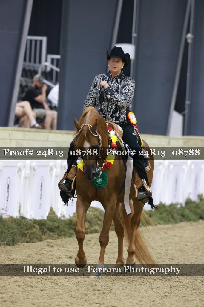 Proof 24R13_08788