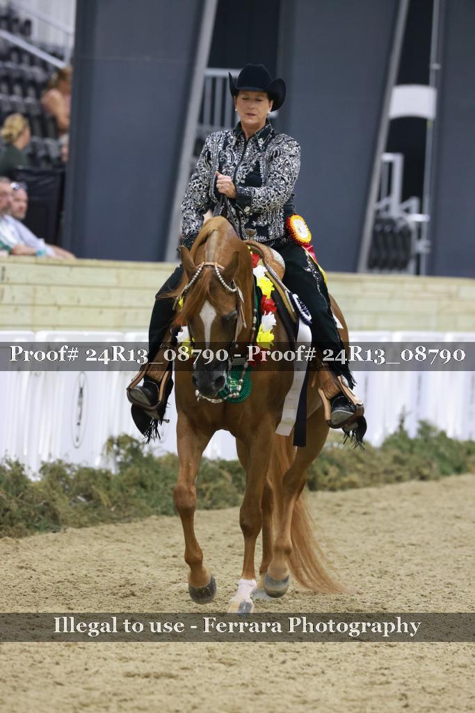 Proof 24R13_08790