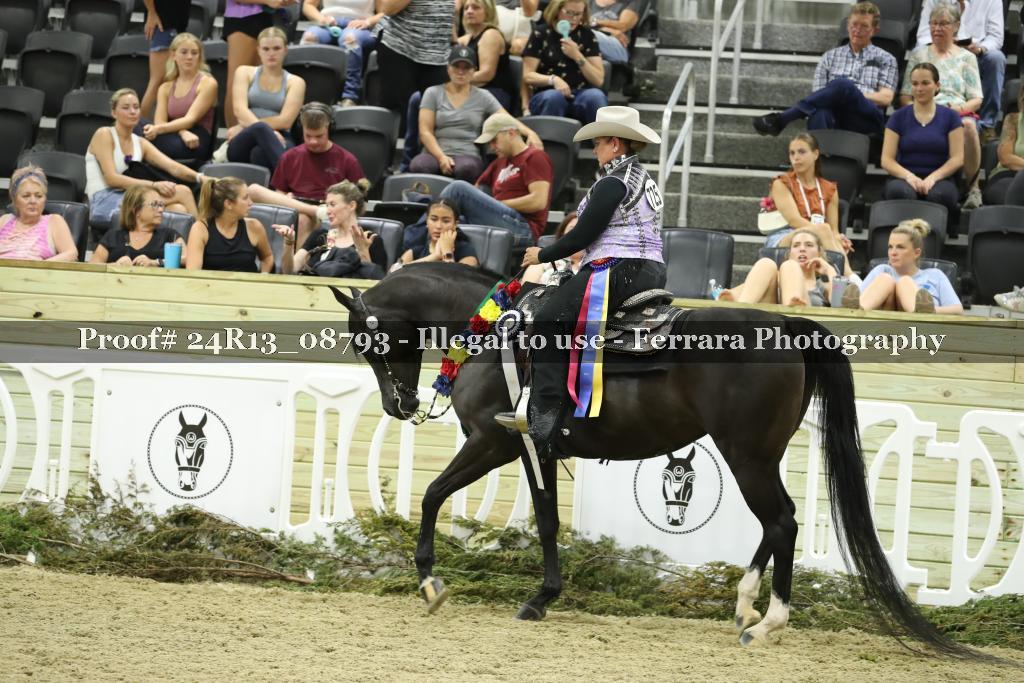 Proof 24R13_08793