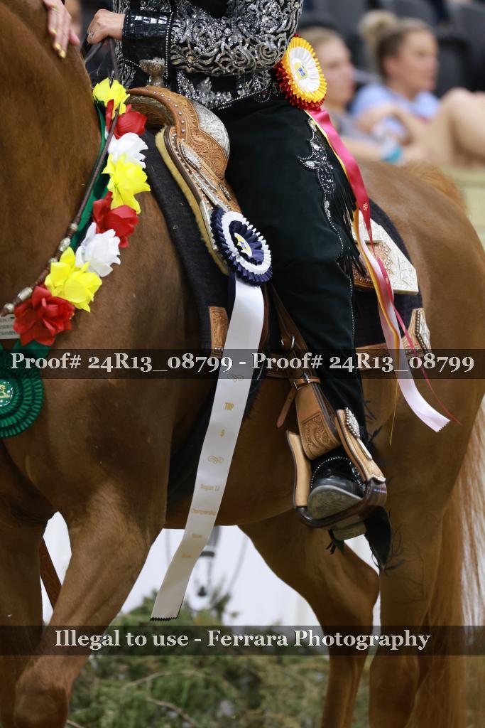 Proof 24R13_08799