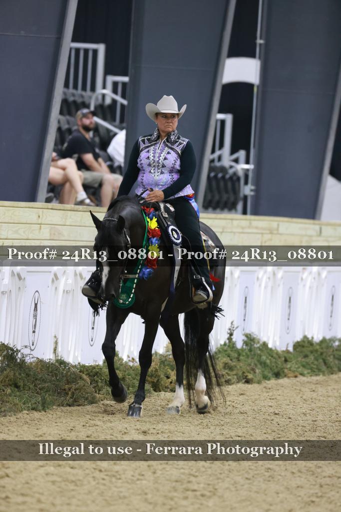 Proof 24R13_08801