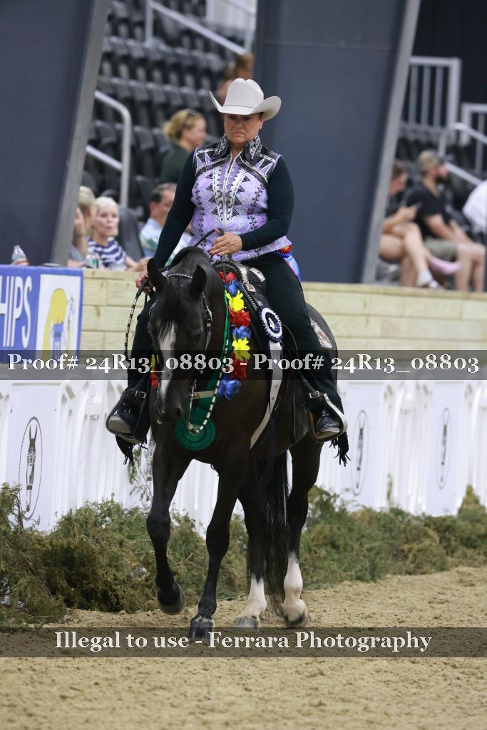 Proof 24R13_08803