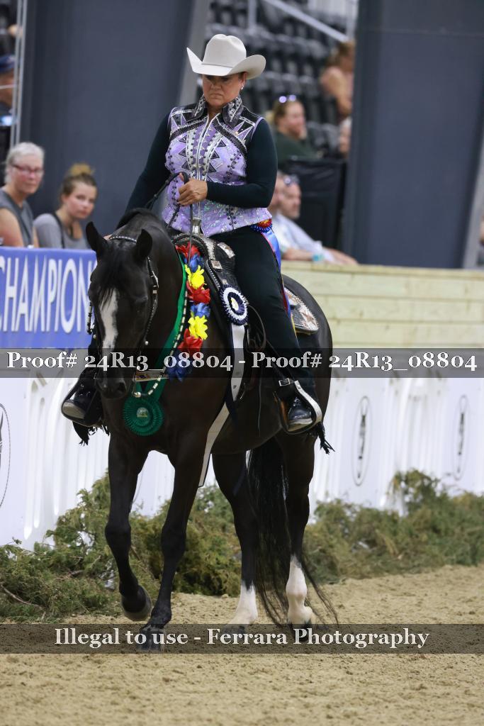 Proof 24R13_08804