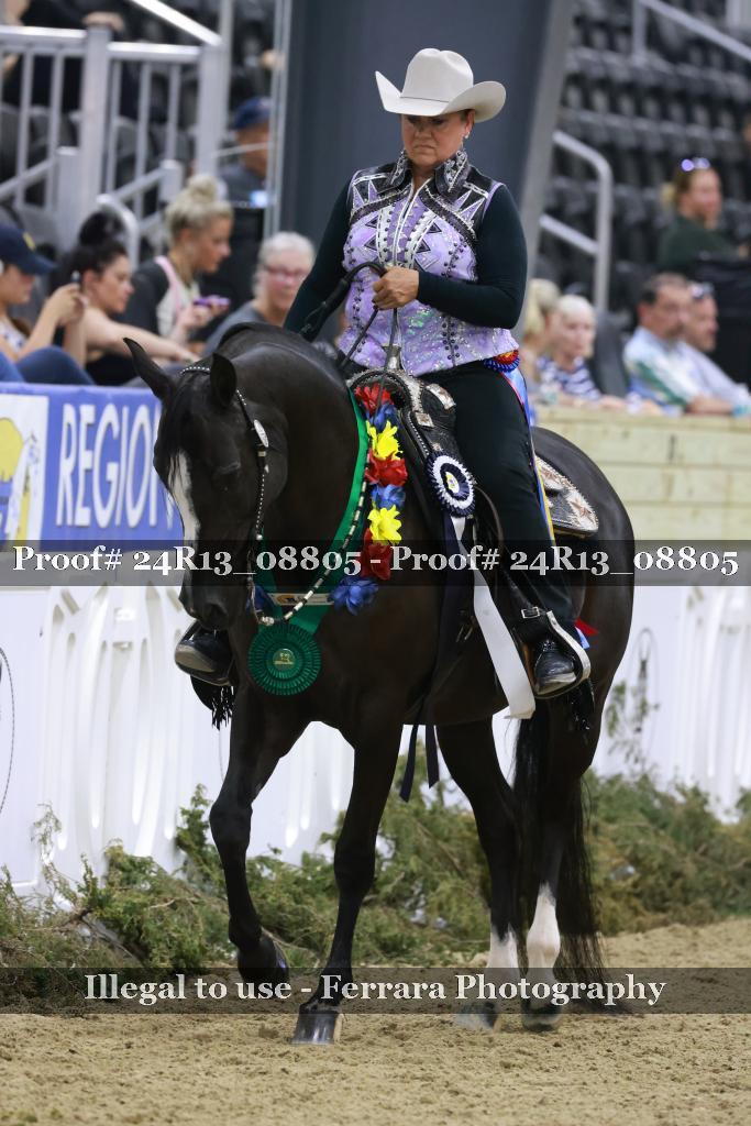Proof 24R13_08805