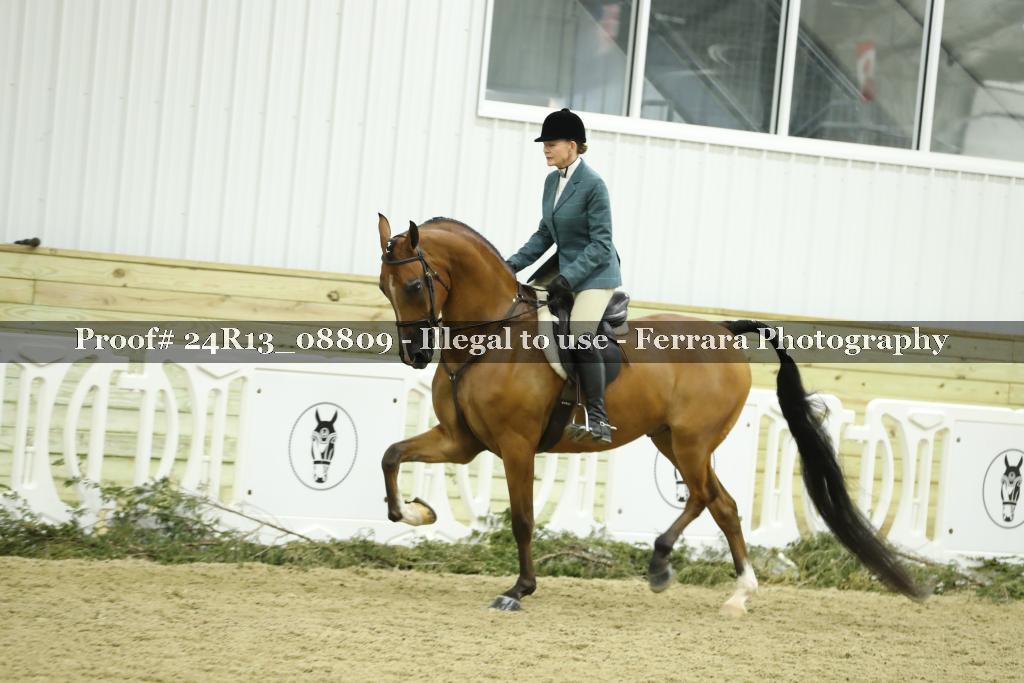 Proof 24R13_08809