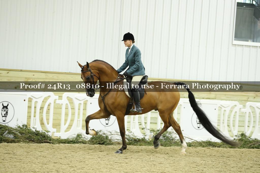 Proof 24R13_08810