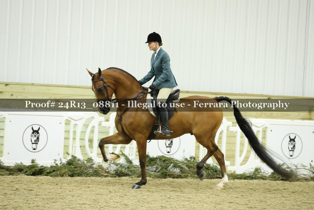 Proof 24R13_08811