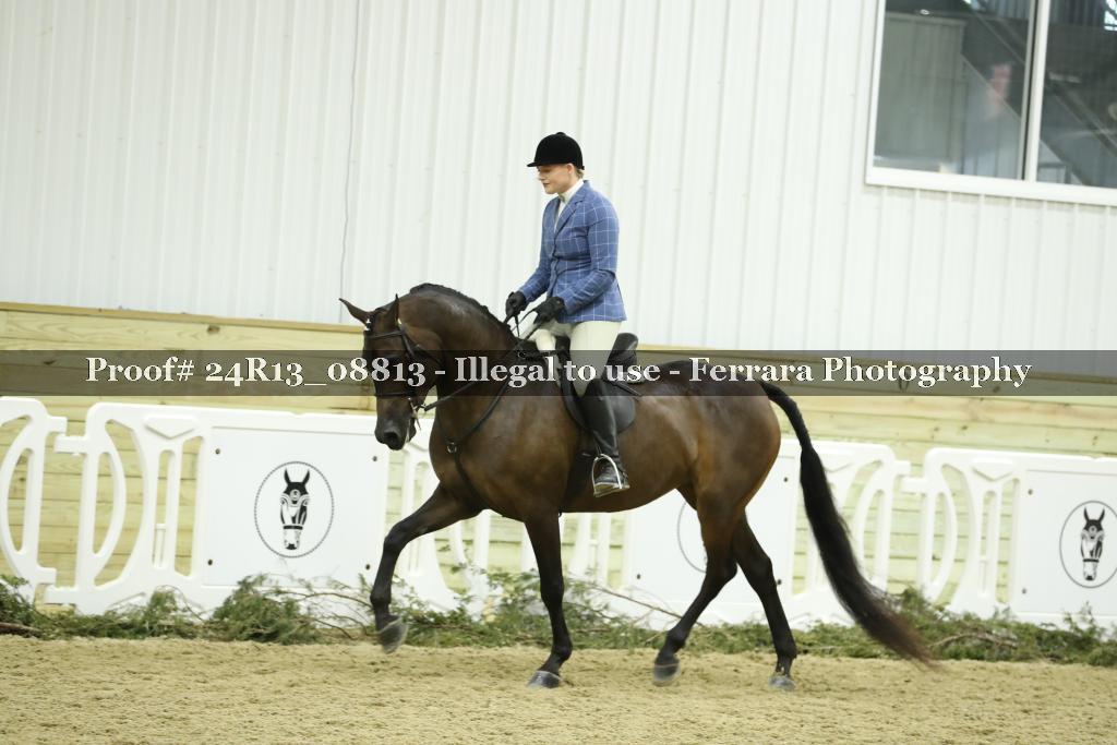 Proof 24R13_08813