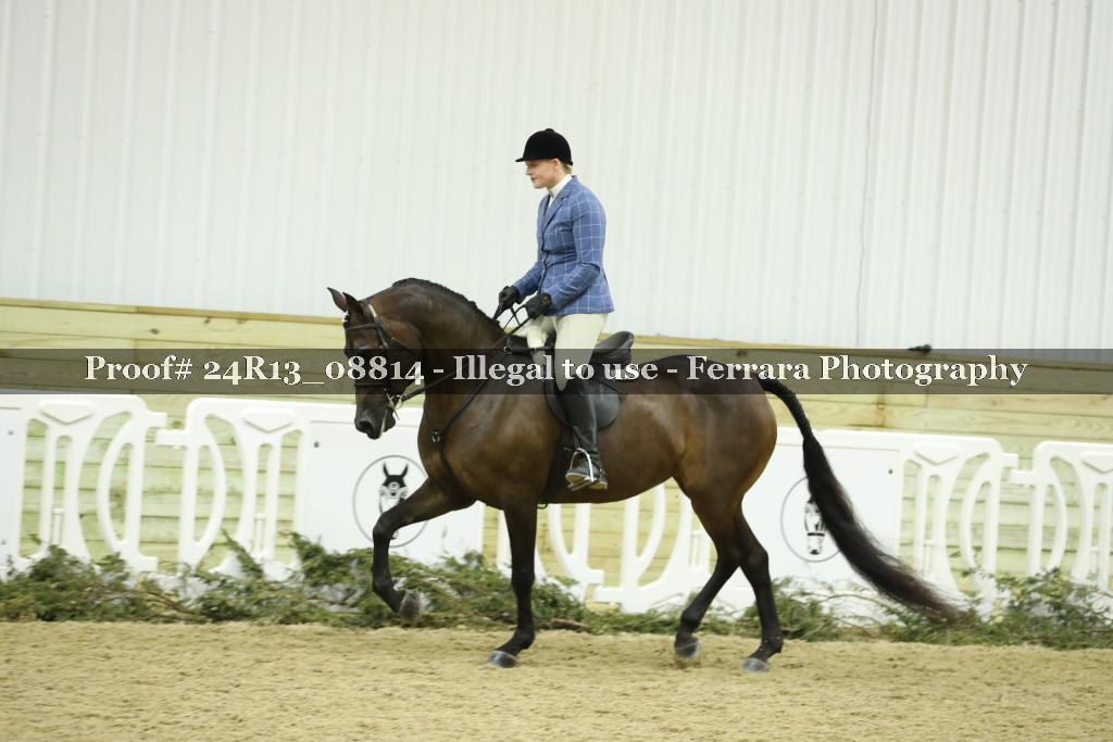 Proof 24R13_08814