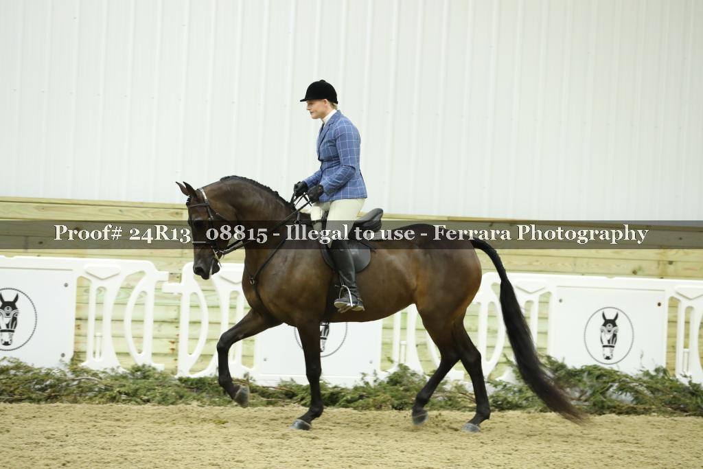 Proof 24R13_08815