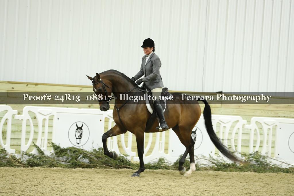 Proof 24R13_08817