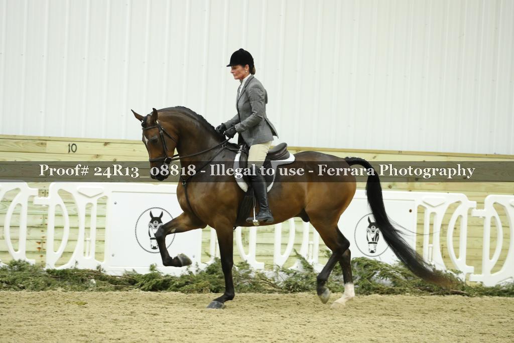 Proof 24R13_08818