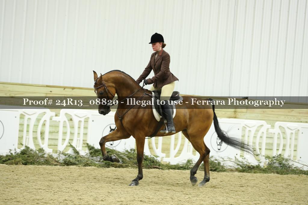 Proof 24R13_08820