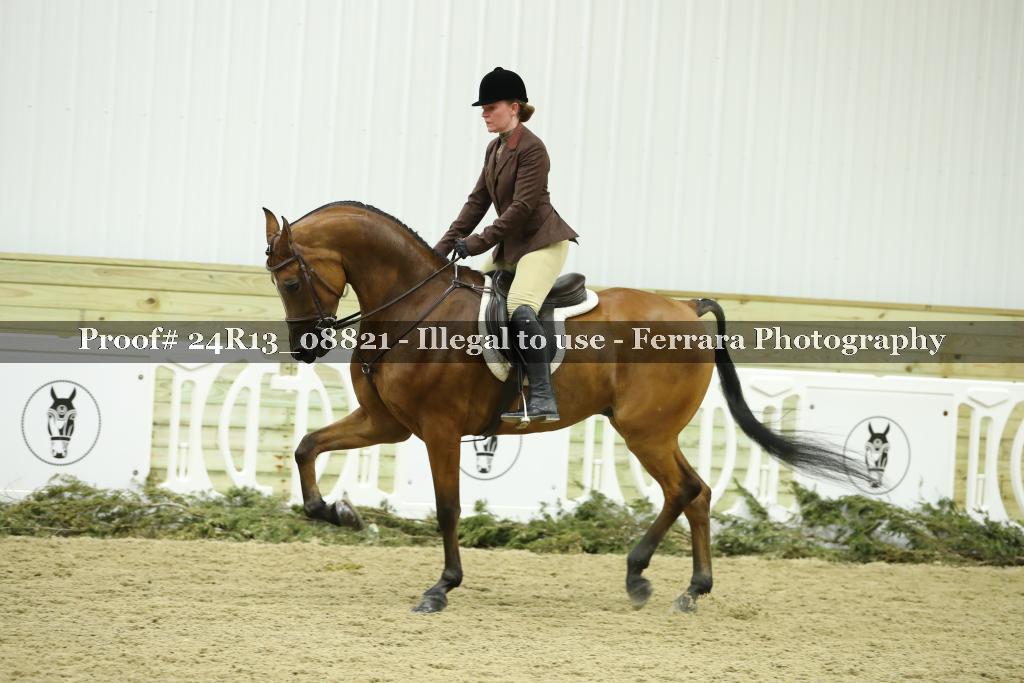 Proof 24R13_08821