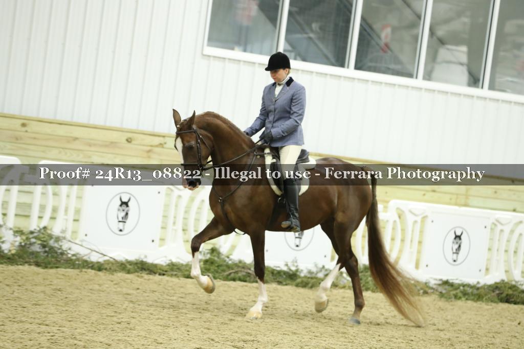 Proof 24R13_08822