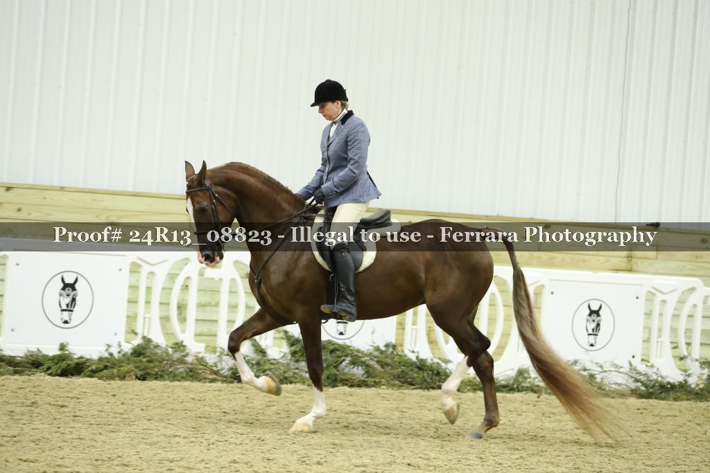Proof 24R13_08823