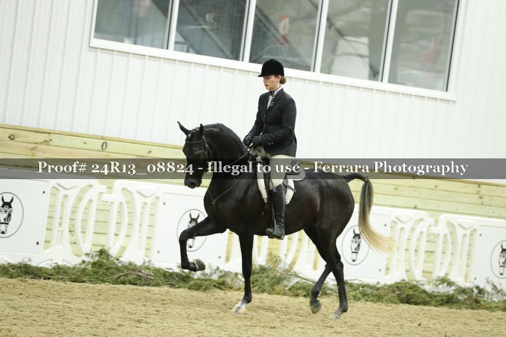 Proof 24R13_08824