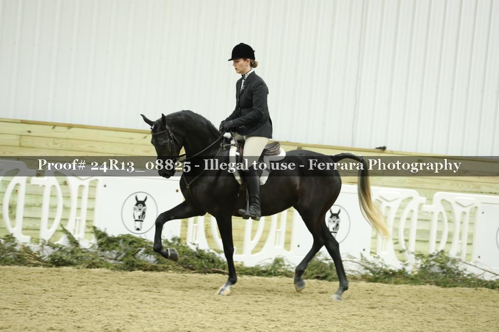 Proof 24R13_08825