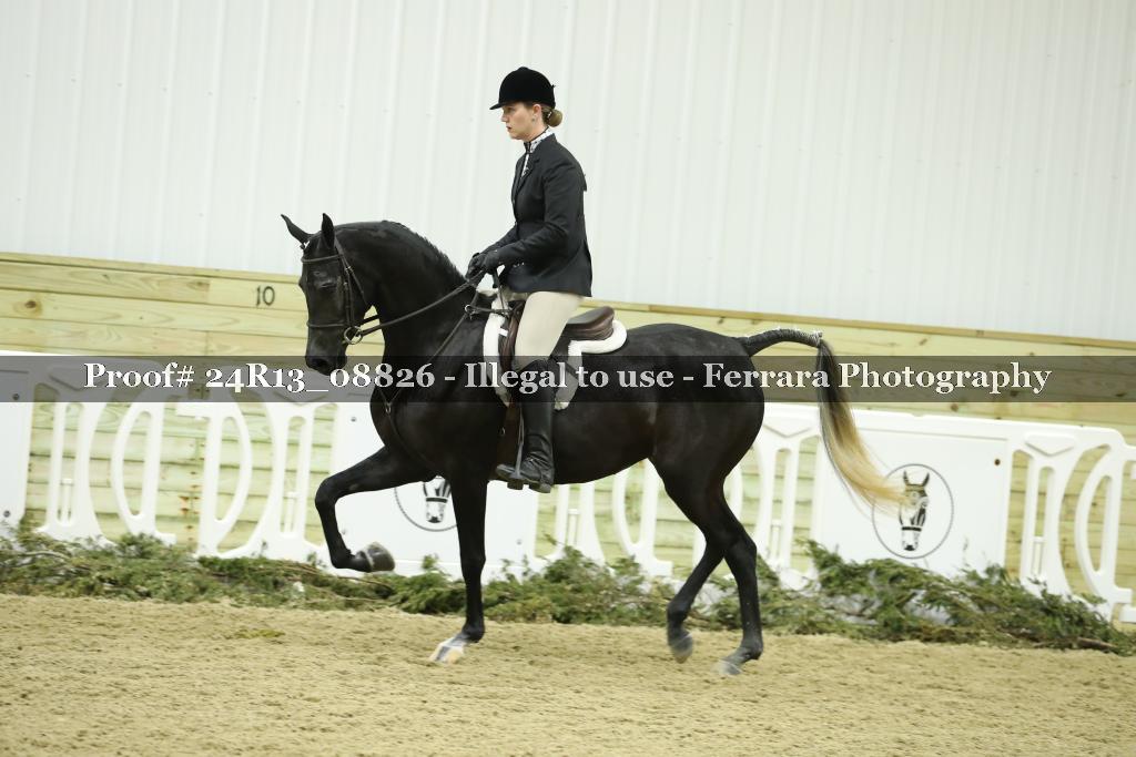 Proof 24R13_08826