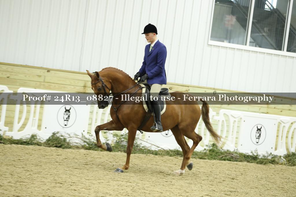 Proof 24R13_08827
