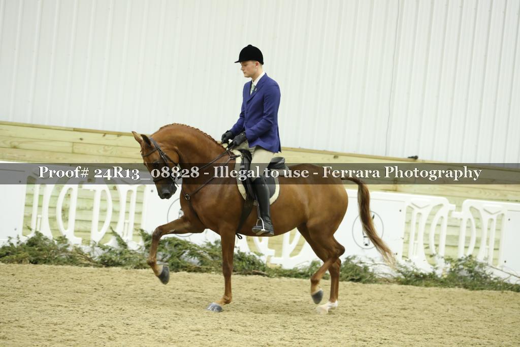 Proof 24R13_08828