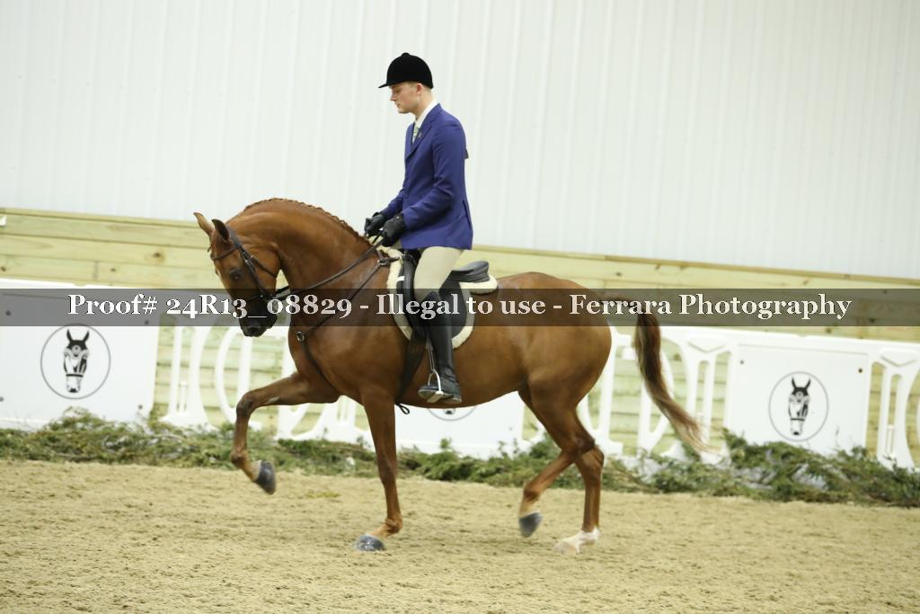 Proof 24R13_08829